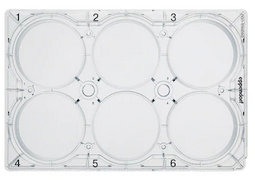 德國(guó)艾本德(Eppendorf)Cell Culture Plates,6-Well,無(wú)菌無(wú)熱原,無(wú)RNase和DNase,無(wú)人類和細(xì)菌DNA,無(wú)細(xì)胞毒素,TC處理,5mL,60塊,獨(dú)立包裝