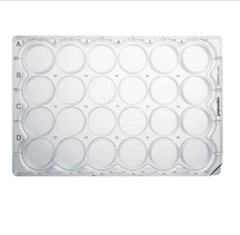 德國艾本德(Eppendorf)Cell Culture Plates,24-Well,無菌無熱原,無RNase和DNase,無人類和細(xì)菌DNA,無細(xì)胞毒素,TC處理,1mL,60塊,獨(dú)立包裝