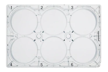 德國艾本德Eppendorf CCCadvanced? FN1,6-well,帶蓋,平底,無菌,無熱原,無RNase和DNase,無人類和細(xì)菌 DNA,無細(xì)胞毒素